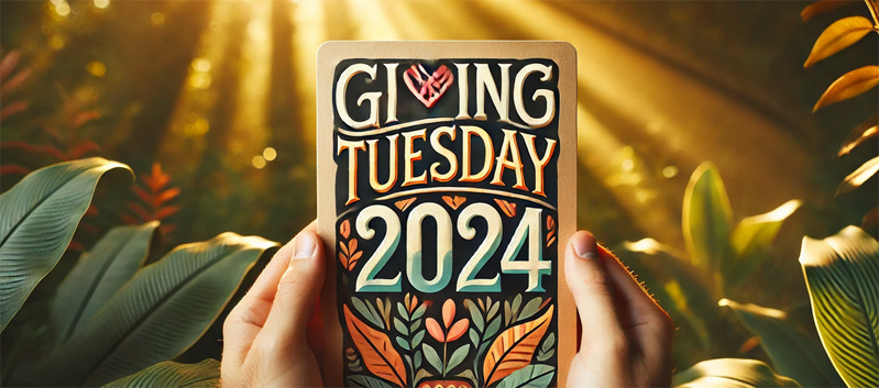 giving-tuesday-2024